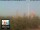 Webcam in Florence, 19.1 mi away