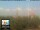 Webcam in Florence, 0.6 mi away