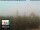 Webcam in Florence, 0.2 mi away
