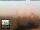Webcam in Florence, 19.1 mi away