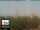 Webcam in Florence, 19.2 mi away