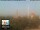 Webcam in Florence, 13 mi away