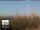 Webcam in Florence, 1.6 km