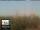 Webcam in Florence, 0.9 mi away