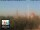 Webcam in Florenz, 1.5 km entfernt
