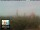 Webcam in Florence, 12.6 mi away