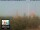 Webcam in Florenz, 49.7 km entfernt