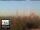 Webcam in Firenze, 49.7 km