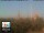 Webcam in Florence, 21.2 km