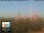 Webcam in Florence, 5.1 km