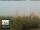 Webcam in Florencia, 5.7 km