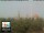 Webcam in Florencia, 39.7 km