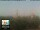 Webcam in Florence, 18 mi away