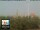 Webcam in Florencia, 2.2 km