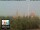 Webcam in Florencia, 1.5 km
