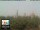 Webcam in Florencia, 1.7 km