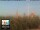 Webcam in Firenze, 2.2 km