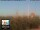 Webcam in Florencia, 21.9 km