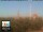 Webcam in Florencia, 1.9 km
