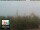 Webcam in Florence, 0.7 mi away