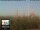 Webcam in Florence, 2.9 mi away