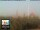 Webcam in Firenze, 1.7 km