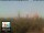 Webcam in Florence, 12 mi away