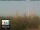 Webcam in Florenz, 49.7 km entfernt