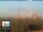 Webcam in Florence, 0.2 mi away