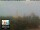 Webcam in Florencia, 39.7 km