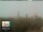 Webcam in Florence, 20.4 km