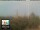 Webcam in Florence, 0.9 mi away