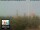 Webcam in Florenz, 0.5 km entfernt