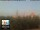 Webcam in Florence, 11.6 mi away