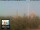 Webcam in Florence, 38.3 km