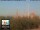 Webcam in Florence, 2.9 mi away
