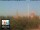Webcam in Florence, 0.7 mi away