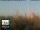 Webcam in Florenz, 1.5 km entfernt