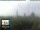 Webcam in Florence, 0.2 mi away