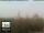 Webcam in Florence, 8.5 mi away
