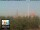 Webcam in Firenze, 30.1 km