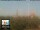 Webcam in Florence, 0.9 mi away