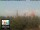 Webcam in Florence, 0.8 mi away