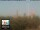 Webcam in Florenz, 49.7 km entfernt