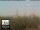 Webcam in Florencia, 21.9 km