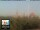 Webcam in Florencia, 47.1 km