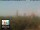 Webcam in Florencia, 49.7 km