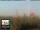 Webcam in Florence, 0.7 km