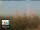 Webcam in Firenze, 1.6 km