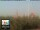 Webcam in Florenz, 0.9 km entfernt
